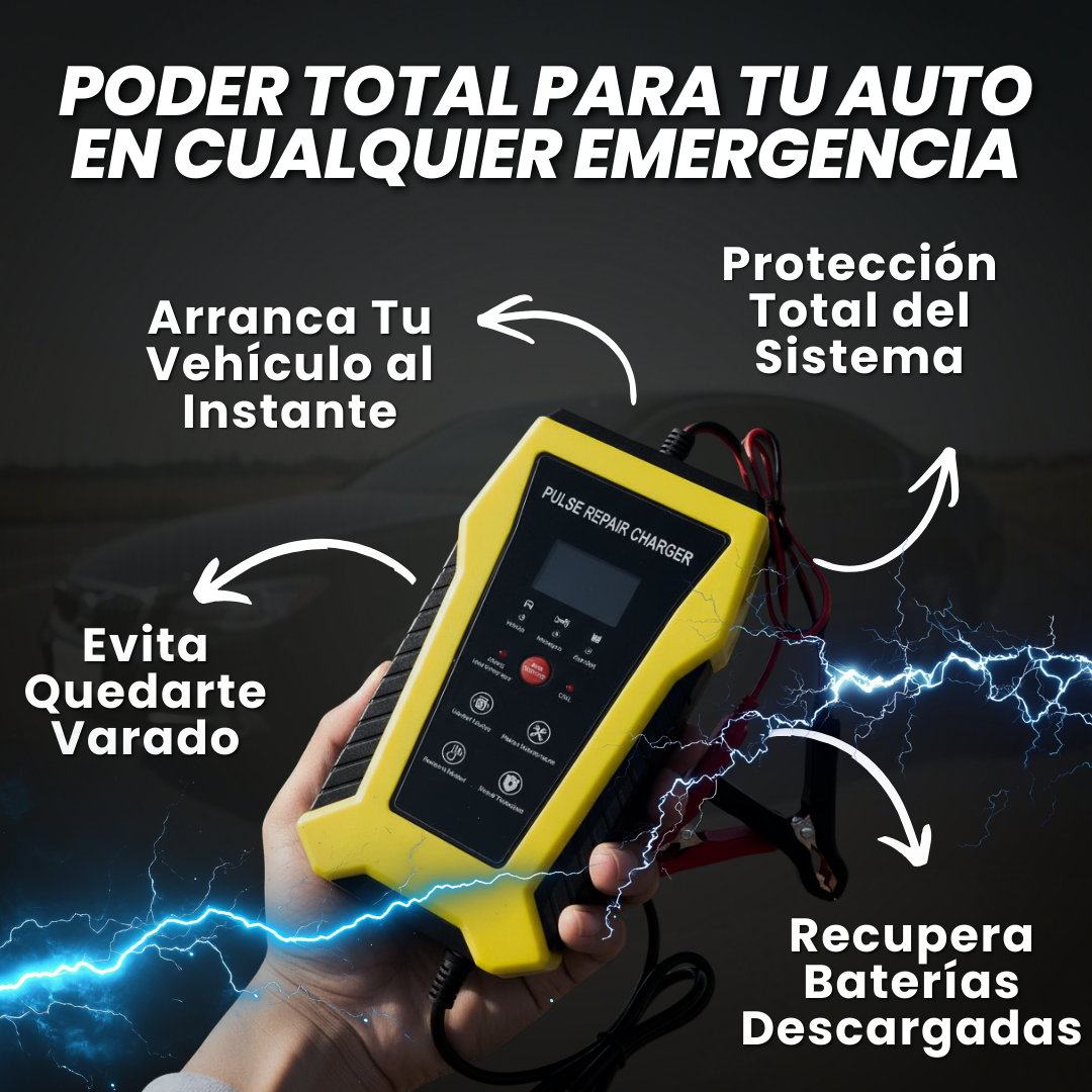 CARGADOR DE BATERIA